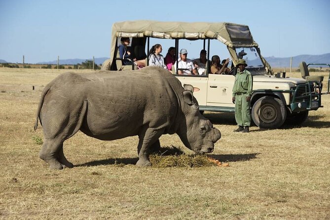 6-Day 5 Nights Masai Mara, Lake Nakuru & Amboseli Budget Safari - Why this six-day route works