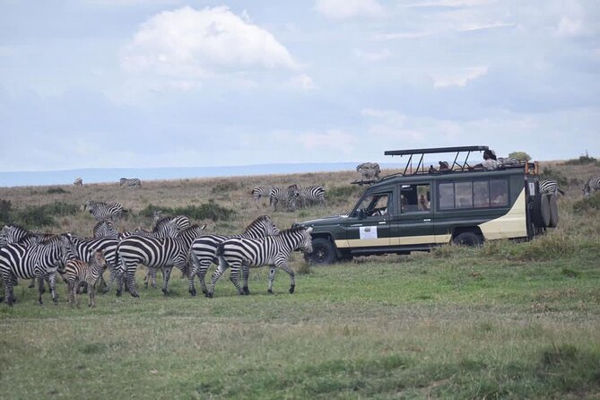 6 Day Nairobi-Amboseli-Maasai Mara Private Semi Luxury Tour - Day 1: Kilimanjaro Views and Amboseli Elephants