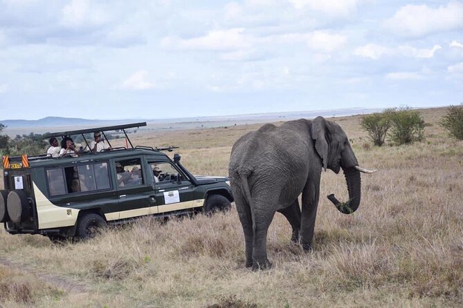 6 Day Nairobi-Amboseli-Maasai Mara Private Semi Luxury Tour - Day 4: Through the Mau Forest to the Maasai Mara