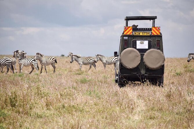 6 Day Nairobi-Amboseli-Maasai Mara Private Semi Luxury Tour - Day 5: Dawn Game Viewing and a Full Mara Day