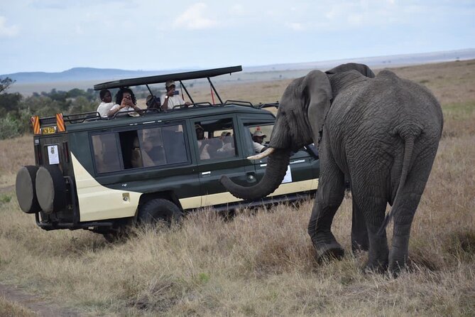 6 Day Nairobi-Amboseli-Maasai Mara Private Semi Luxury Tour - Day 6: One Last Drive and the Mau Escarpment