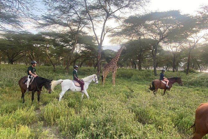 6 Day Nairobi-Amboseli-Maasai Mara Private Semi Luxury Tour - Day 2: A Full Day Inside Amboseli National Park