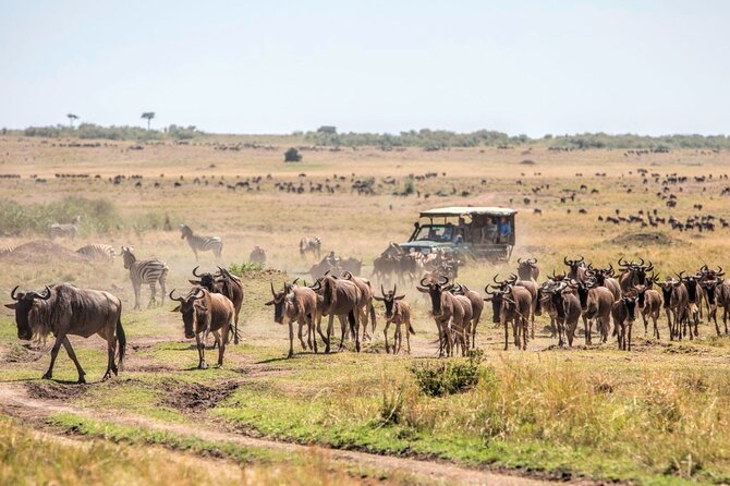 6-Day Private Landcruiser Safari to Masai Mara, Nakuru & Amboseli - The early drive from Nairobi to Masai Mara