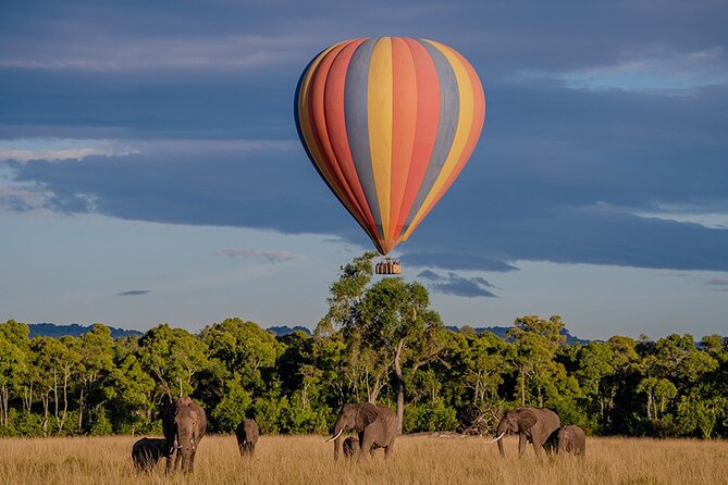 6-Day Samburu, Lake Nakuru, and Masai Mara Safari - What the safari vehicle and service mean for you