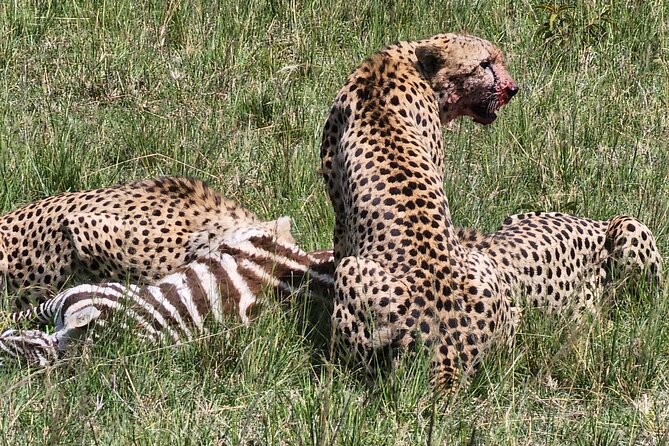 6 Days Amboseli, Lake Naivasha and Masai Mara Adventure - Key points at a glance
