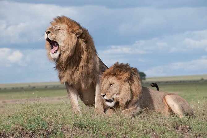 6 Days Amboseli, Lake Naivasha and Masai Mara Adventure - Day 3: A quieter change of pace at Lake Naivasha
