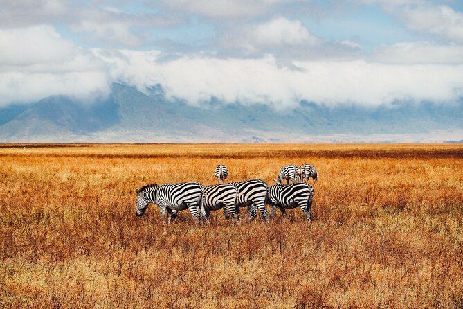 6 Days best of kenya safaris Maasai Mara-Lake Nakuru Amboseli National Park - Day four: rhinos and birdlife at Lake Nakuru