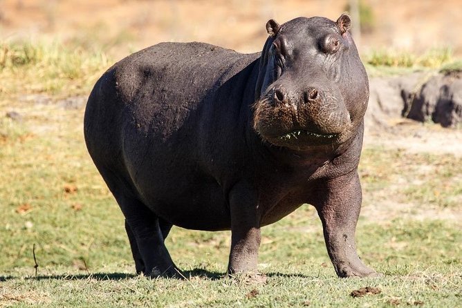 6 days guided safari: nairobi / lake nakuru / lake naivasha / masai mara n r - The route at a glance