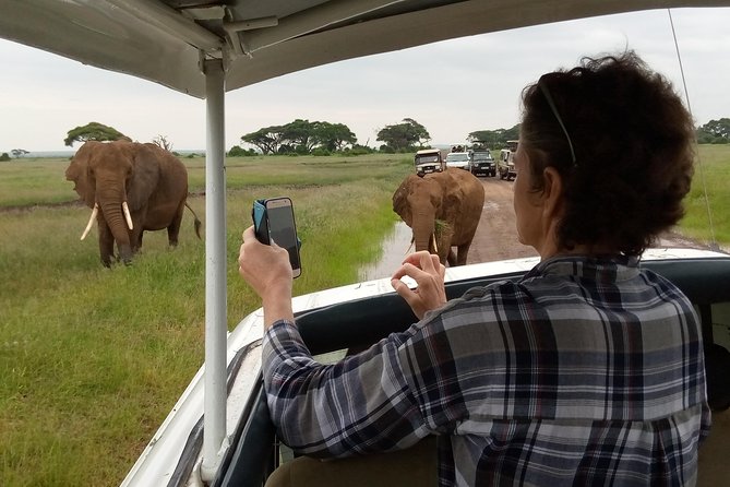 6 days guided safari: nairobi / lake nakuru / lake naivasha / masai mara n r - Lodges, meals, and comfort
