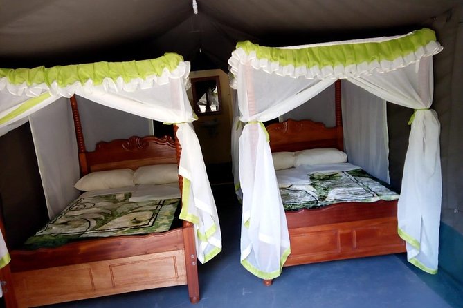 6 Days in Masai Mara- Lake Nakuru- Amboseli - What the $45 price really means