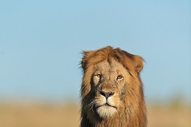 6 Days Kenya Adventure Wildlife Safari - Day 3: From Elementaita to Masai Mara