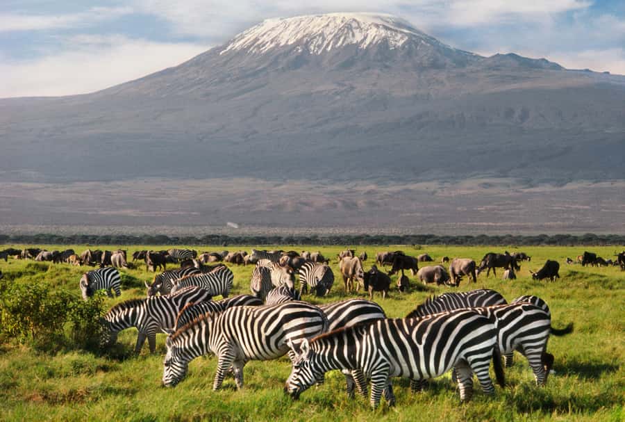 6 Days Kenya Budget Safari - Maasai village option: a meaningful extra, not a free stop