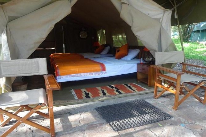 6 Days Maasai Mara/Nakuru/Amboseli Group Safari - Three parks, three different moods