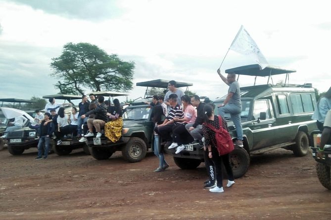 6 Days Maasai Mara/Nakuru/Amboseli Group Safari - Day 6: The final Amboseli drive and return to Nairobi