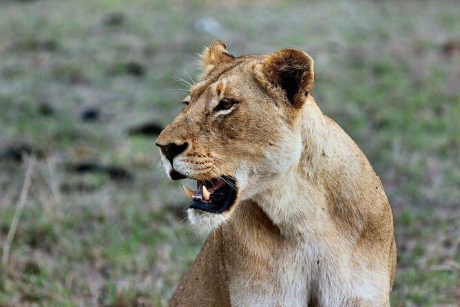 6 Days Masai Mara, Lake Nakuru and Amboseli Budget Group Safari - Day one: the Rift Valley on the way to Maasai Mara