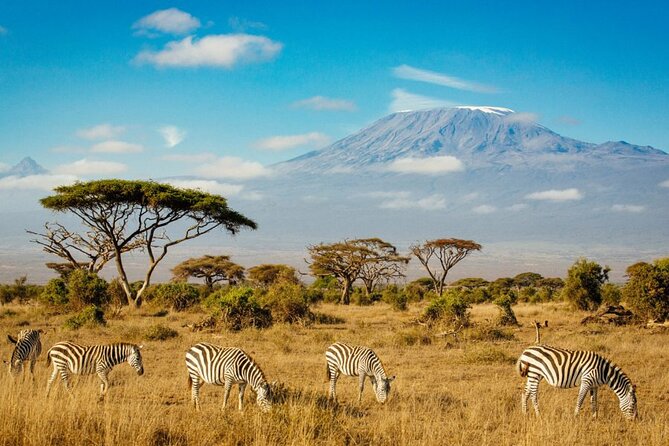 6 Days Masai Mara, Lake Nakuru and Amboseli Budget Group Safari - Day three: leaving the Mara for Lake Nakuru