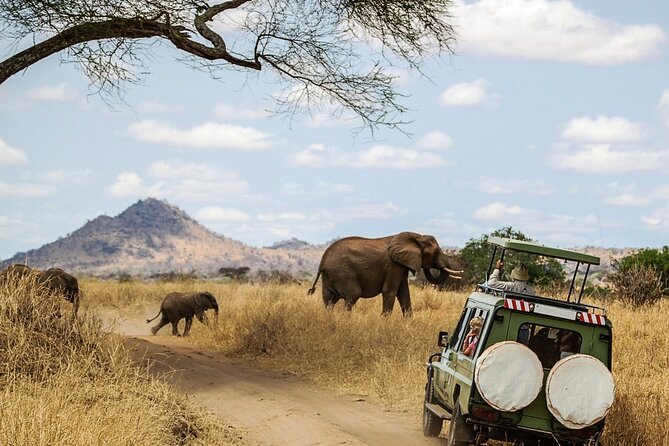6 Days Masai Mara, Lake Nakuru and Amboseli Budget Group Safari - Day six: one last drive and the return to Nairobi