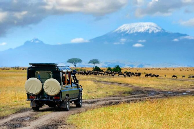 6 Days Masai Mara, Lake Nakuru and Amboseli Budget Group Safari - Day two: a full day among the Mara plains