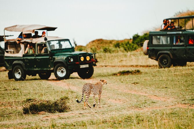 6 Days of Kenyan Wonders: Amboseli, Lake Nakuru, and Masai Mara - The long transfer from Amboseli to Lake Nakuru