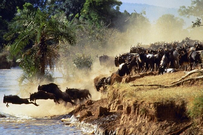 6 Days of Kenyan Wonders: Amboseli, Lake Nakuru, and Masai Mara - A Maasai village visit before the Nairobi transfer