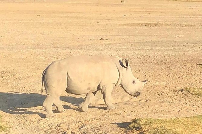 6 Days of Kenyan Wonders: Amboseli, Lake Nakuru, and Masai Mara - What the $2,000 price represents