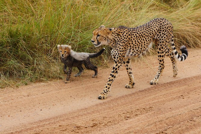 6 Days private safari package Kenya - From Nairobi to Amboseli at 7:00 am