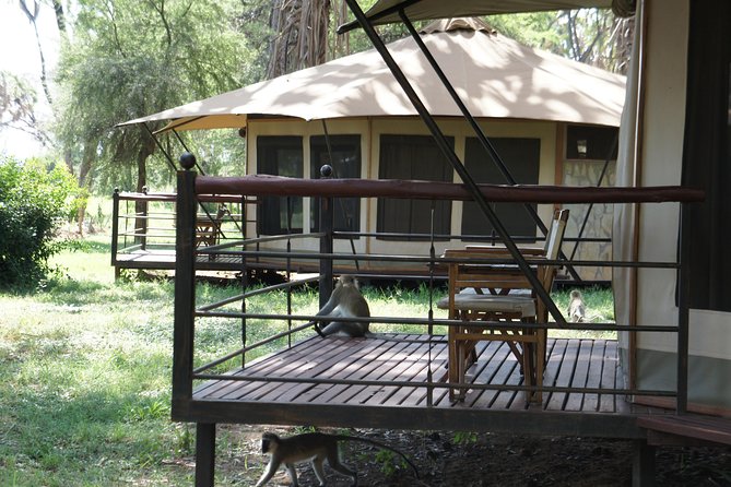 6 Days private safari package Kenya - Accommodation Needs Clarifying
