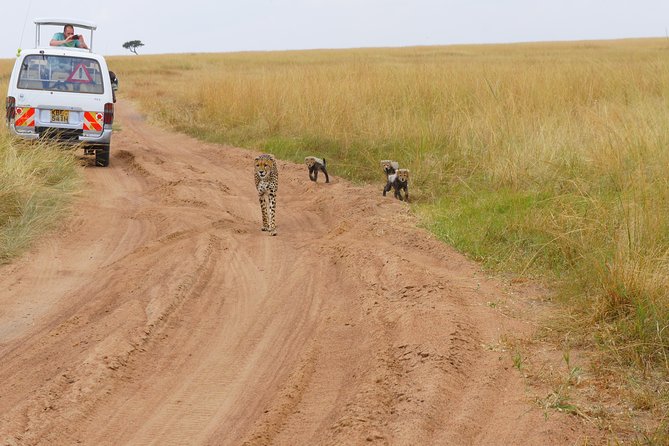 6 Days private safari package Kenya - Optional Extras: Balloon Flight and Maasai Village
