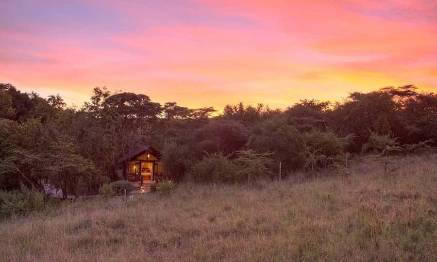6 Days Small Group Safari To Masai Mara, Nakuru And Amboseli - Why this route works so well