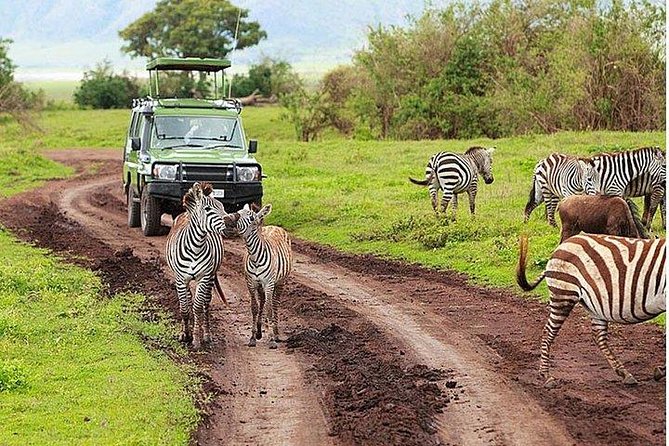 6Days Amboseli, Lake Nakuru and Masai Mara Camping Safari on Jeep - Day 5: The full Maasai Mara game-drive day