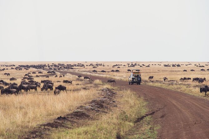 7 Day Private Jeep Safari, 5 star lodges with Balloon Ride Kenya - The final game drive back to Nairobi
