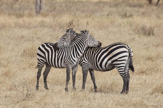 7-Day Private Safari to Amboseli National Park and Masai Mara - Your Flexible Full Day in the Masai Mara