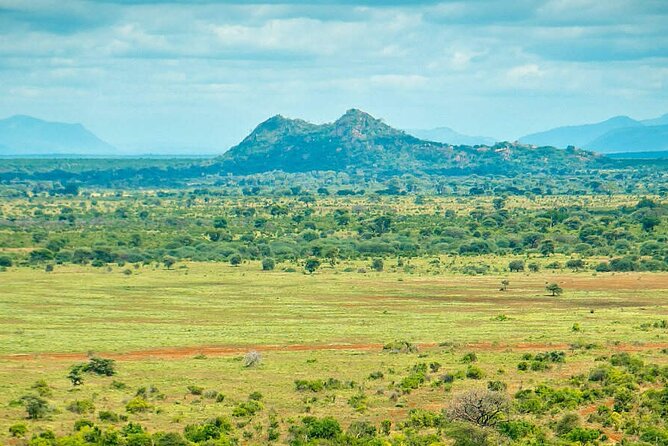 7-Day Private Tour in Kenya National Parks From Nairobi / Mombasa - Day 3: Rhinos and flamingos at Lake Nakuru