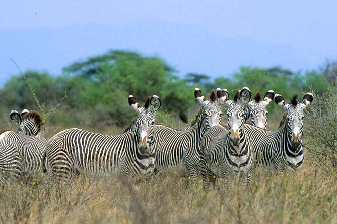 7-Day Private Tour in Kenya National Parks From Nairobi / Mombasa - Day 4: Lake Naivasha, a short park drive, and Hell’s Gate