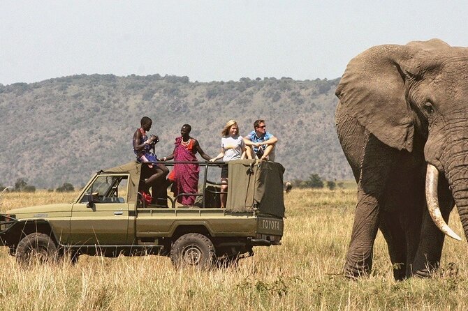 7-Day Private Tour in Kenya National Parks From Nairobi / Mombasa - Day 7: A final morning drive and return to Nairobi