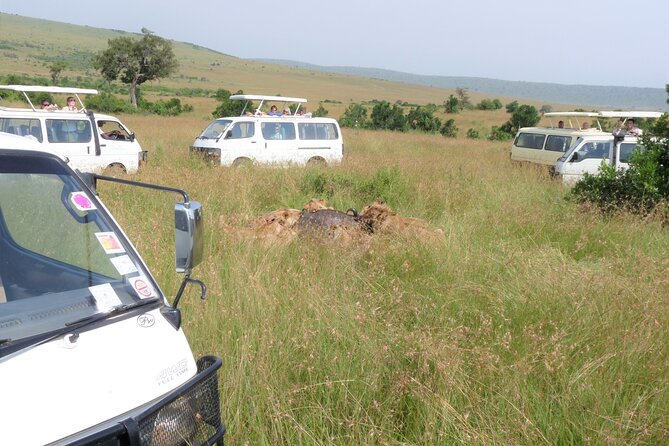 7 Days Amboseli-Lake Naivasha-Lake Nakuru & Masai Mara - Day two: a full Amboseli game drive
