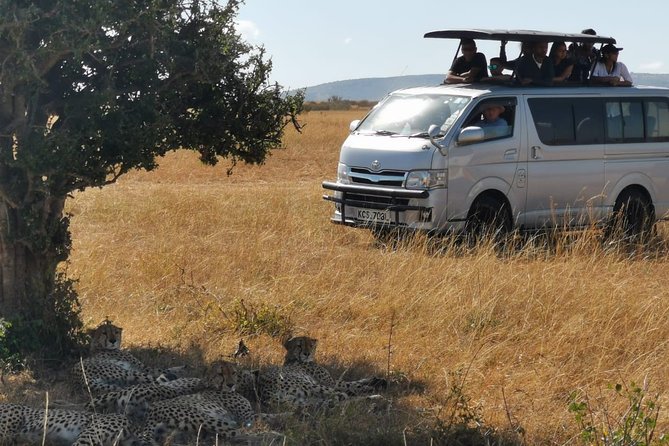 7 Days Amboseli, Naivasha, Maasai Mara and Lake Nakuru game parks - Day 5: the road to Maasai Mara