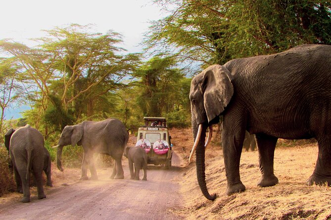 7 Days Best of Kenya Wildlife Safari - What this seven-day Kenya safari is designed to do