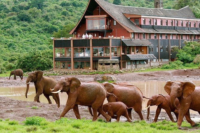 7 Days Breathtaking Kenya Wildlife Private Safari - Why this seven-day route works
