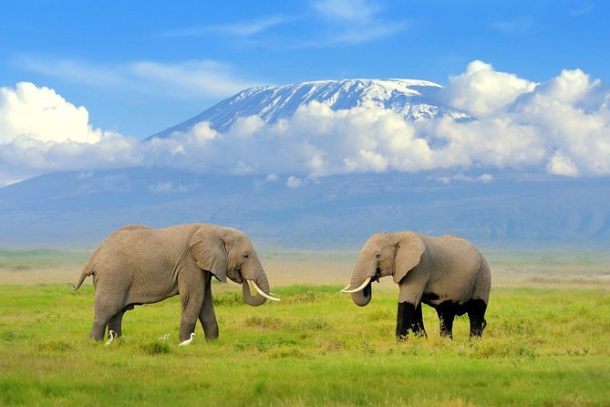 7 Days Breathtaking Kenya Wildlife Private Safari - Day 5: The road to Maasai Mara