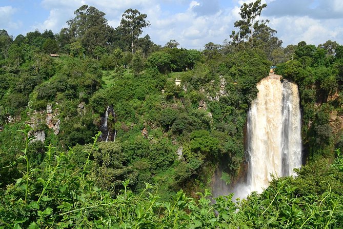 7 Days Breathtaking Kenya Wildlife Private Safari - Day 6: A full Maasai Mara game-drive day