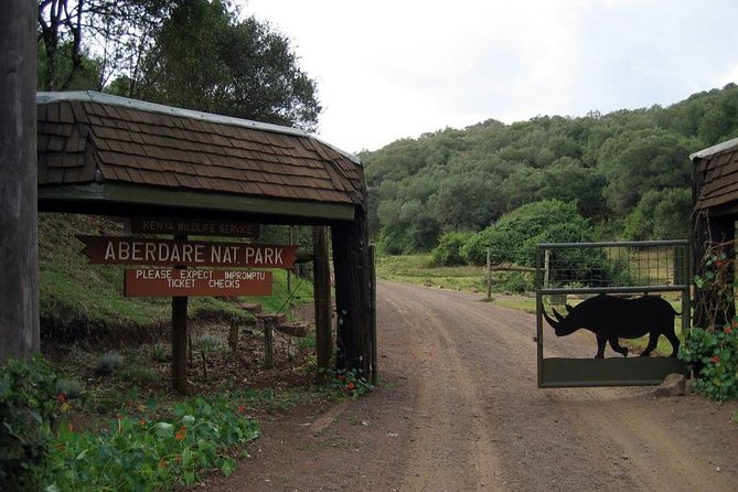 7 Days Breathtaking Kenya Wildlife Private Safari - Day 7: One last drive before Nairobi