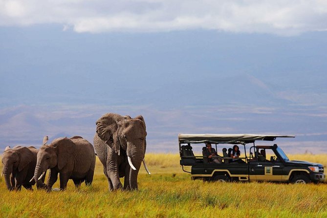7 Days Breathtaking Kenya Wildlife Private Safari - Day 1: Amboseli begins with elephants and open plains