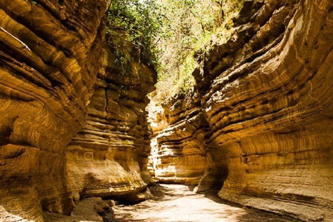 7 days Group Safari Masai Mara Lake Nakuru Hells gate & Amboseli - Day 2: Big Five searching and the Mara River