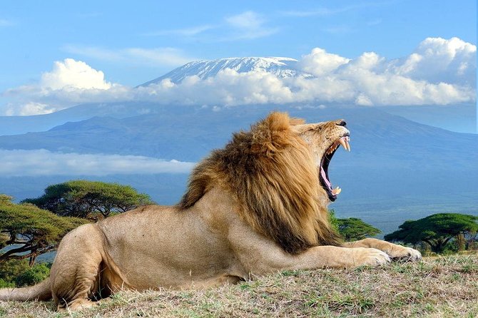 7 Days Into the Wild Wonder : Lodge Safari with Private 4x4 JEEP - Day One: Nairobi to Masai Mara by Way of the Rift Valley