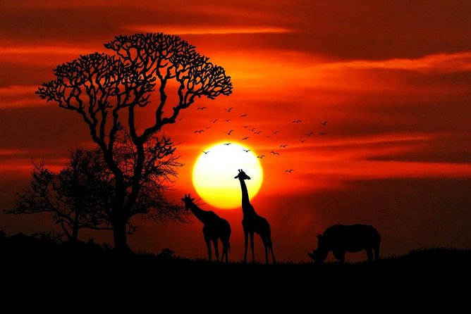 7 Days Kenya Luxury Safaris - Masai Mara NR, Amboseli NP and Lake Nakuru NP - What the $3,000 price buys you