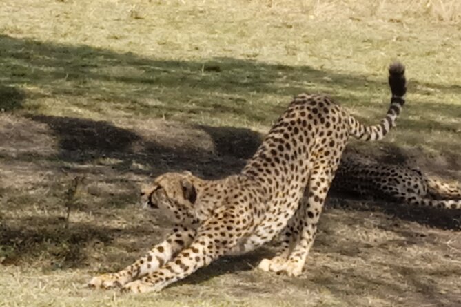 7 Days Kenyan Safaris - Lake Nakuru: a change of pace after the Mara