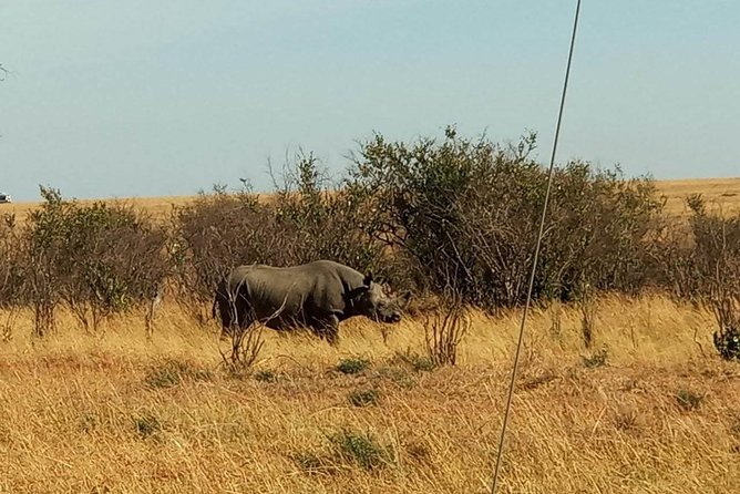 7 Days maasai mara - lake nakuru - lake naivasha- amboseli safari. - Day five: Hell’s Gate before the drive to Amboseli