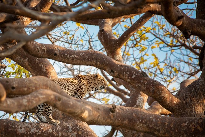 7 Days Maasai Mara, Lakes Nakuru, Naivasha & Amboseli Group Tour - Day 4: Rhino country and the waters of Naivasha