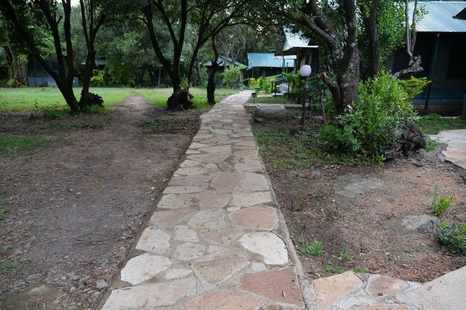 7 Days Mara/L.Naivasha/L.Nakuru/Amboseli - What this seven-day route gets right